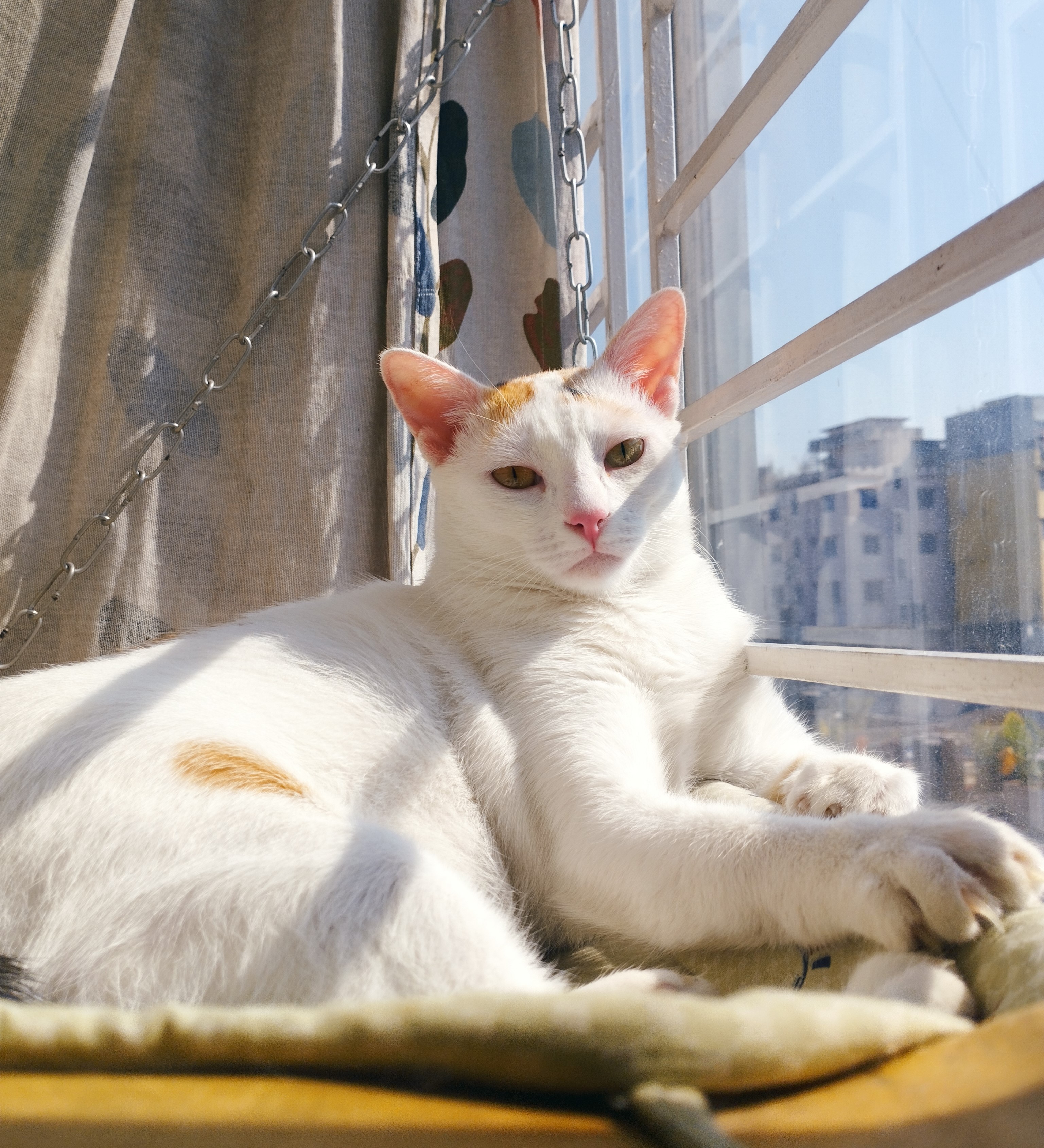 Floria relaxing