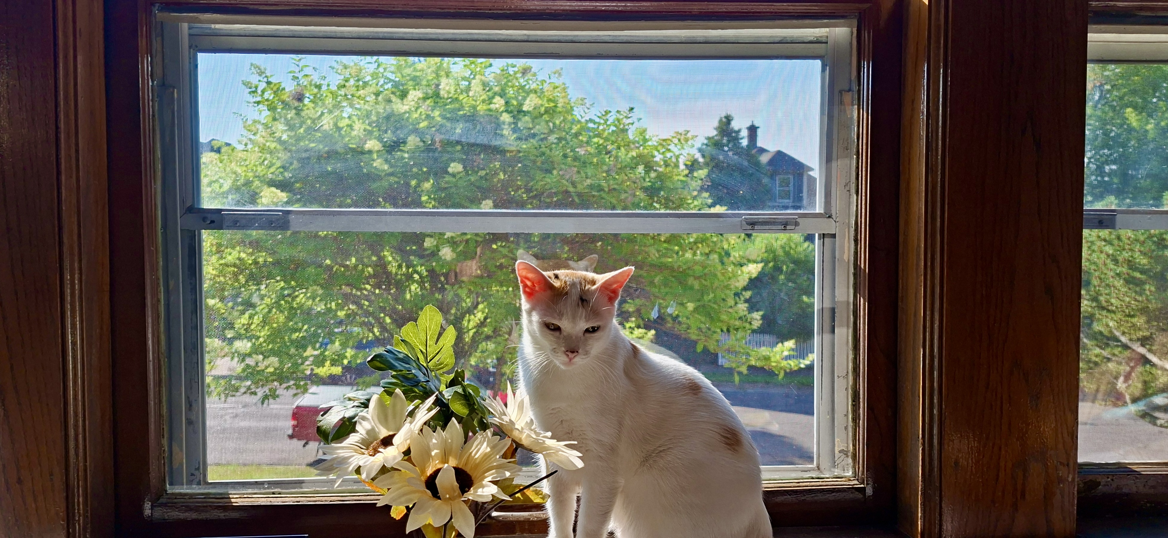 Floria staring